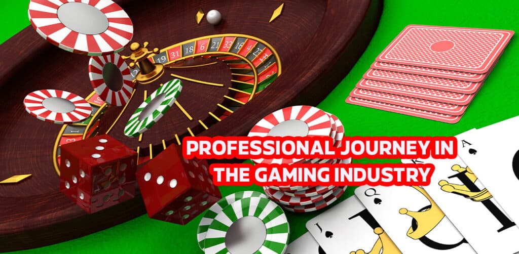 Professional Journey in the Gaming Industry